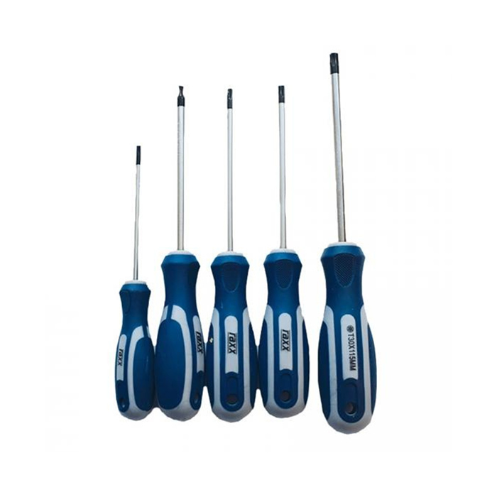 Odvijaci-TORX-5kom-T10-T30-RAXX-1247378.jpg