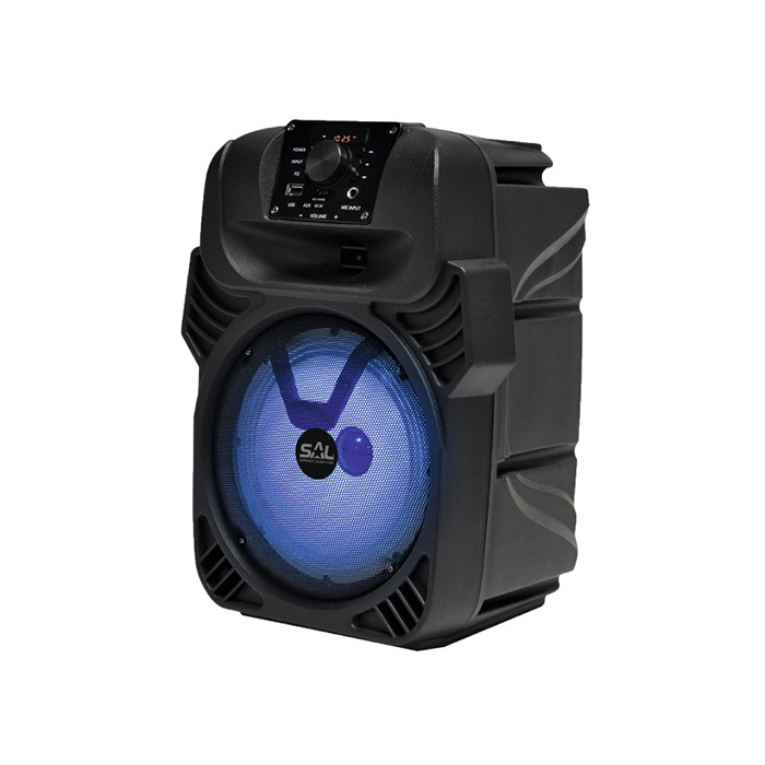 Zvucna-Kutija-Prenosna-Sa-Bluetooth-Konekcijom-25W-PAR20BT.jpg